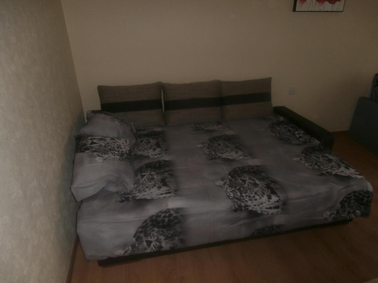 Central Daugavpils Apartment المظهر الخارجي الصورة